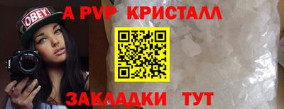 крисы Вязьма