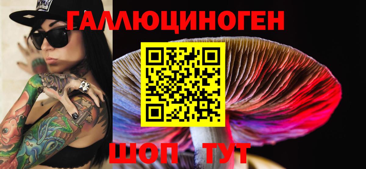 Галлюциногенные грибы прущие грибы  Вход с VPN  Великие Луки  Псилоцибиновые грибы Psilocybine cubensis 